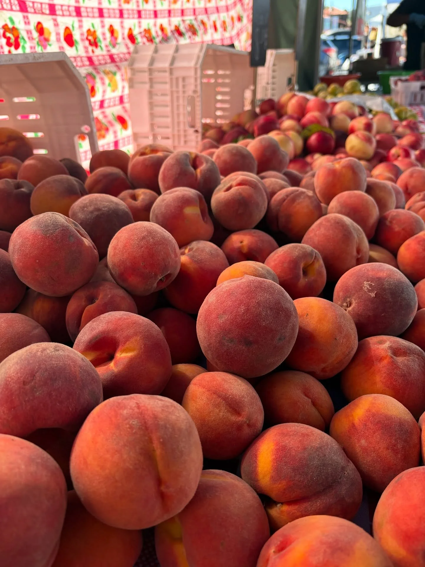 Nearly two weeks in Marin County, at the juiciest and sweetest height of stone fruit season. Missed the full moon, but caught the crescent rising at 7am along with Venus and Jupiter. Honored the sunrise with a cool dip in the bay with a group of wome