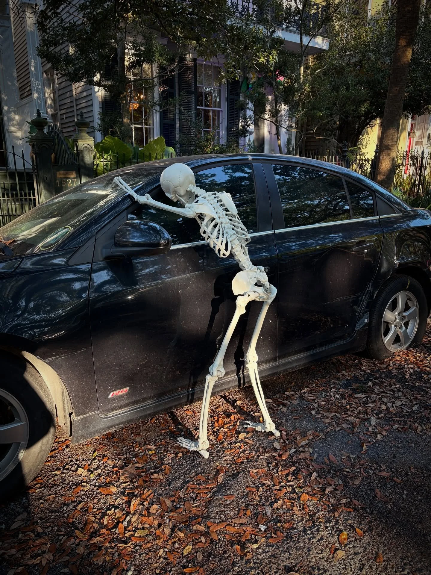 👻🎃💀 We&rsquo;re deep in spooky season now. 

P.S. If you see the hearse, don&rsquo;t miss @jane_tardo&rsquo;s haunted rollecoaster ride for your phone 😱 #neworleans