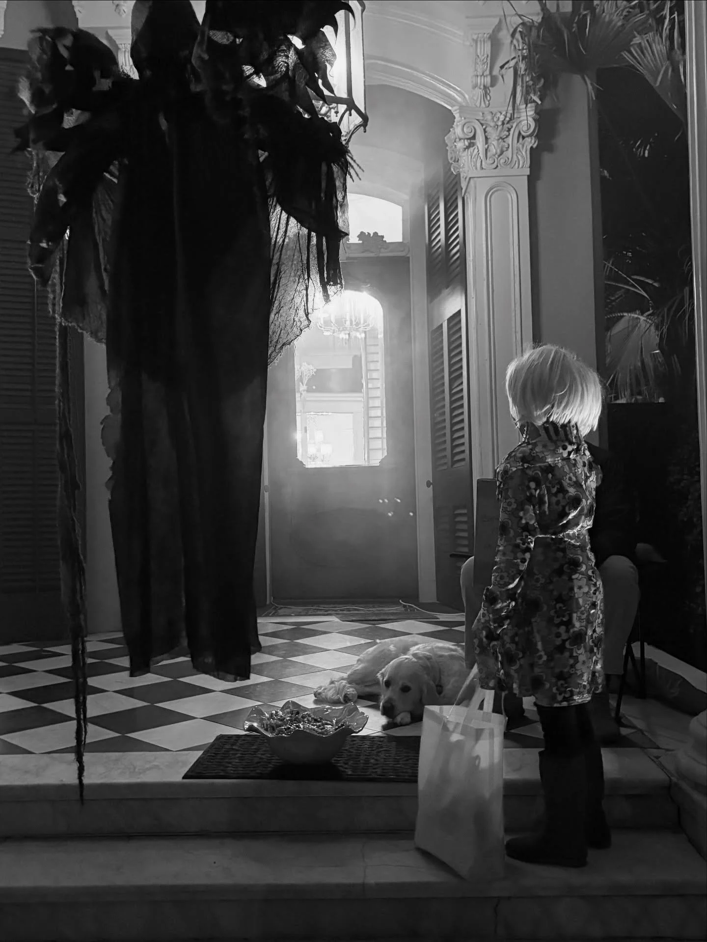 I got to take Ms. Frizzle from the Magic School Bus (aka Ms. Yana, aka Doll Baby Wiggles) trick or treating on Halloween. I didn&rsquo;t really have a costume ready so I threw on a long blonde wig, a leopard print dress, and boots. We decided I was a