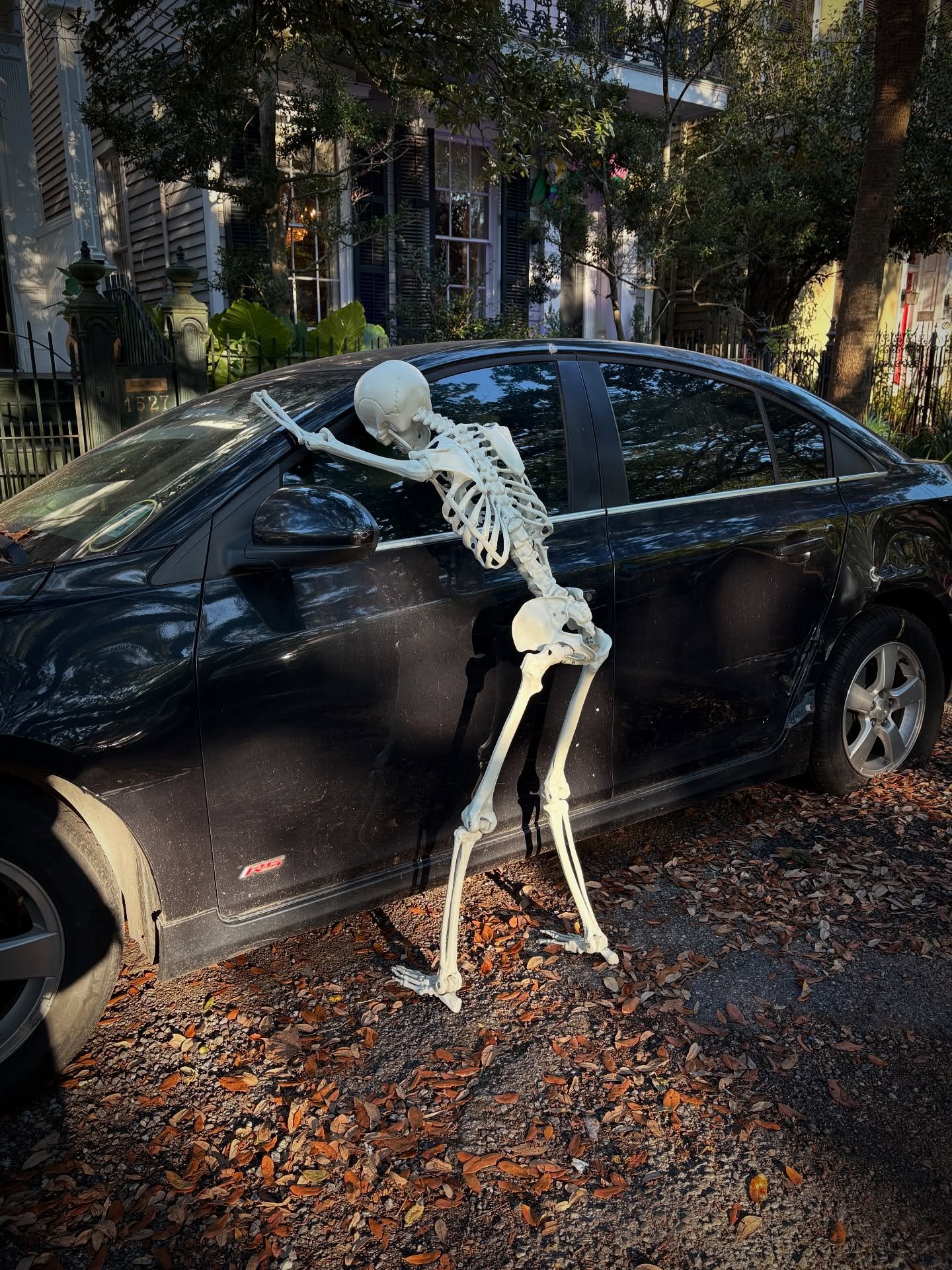 👻🎃💀 We&rsquo;re deep in spooky season now. 

P.S. If you see the hearse, don&rsquo;t miss @jane_tardo&rsquo;s haunted rollecoaster ride for your phone 😱 #neworleans