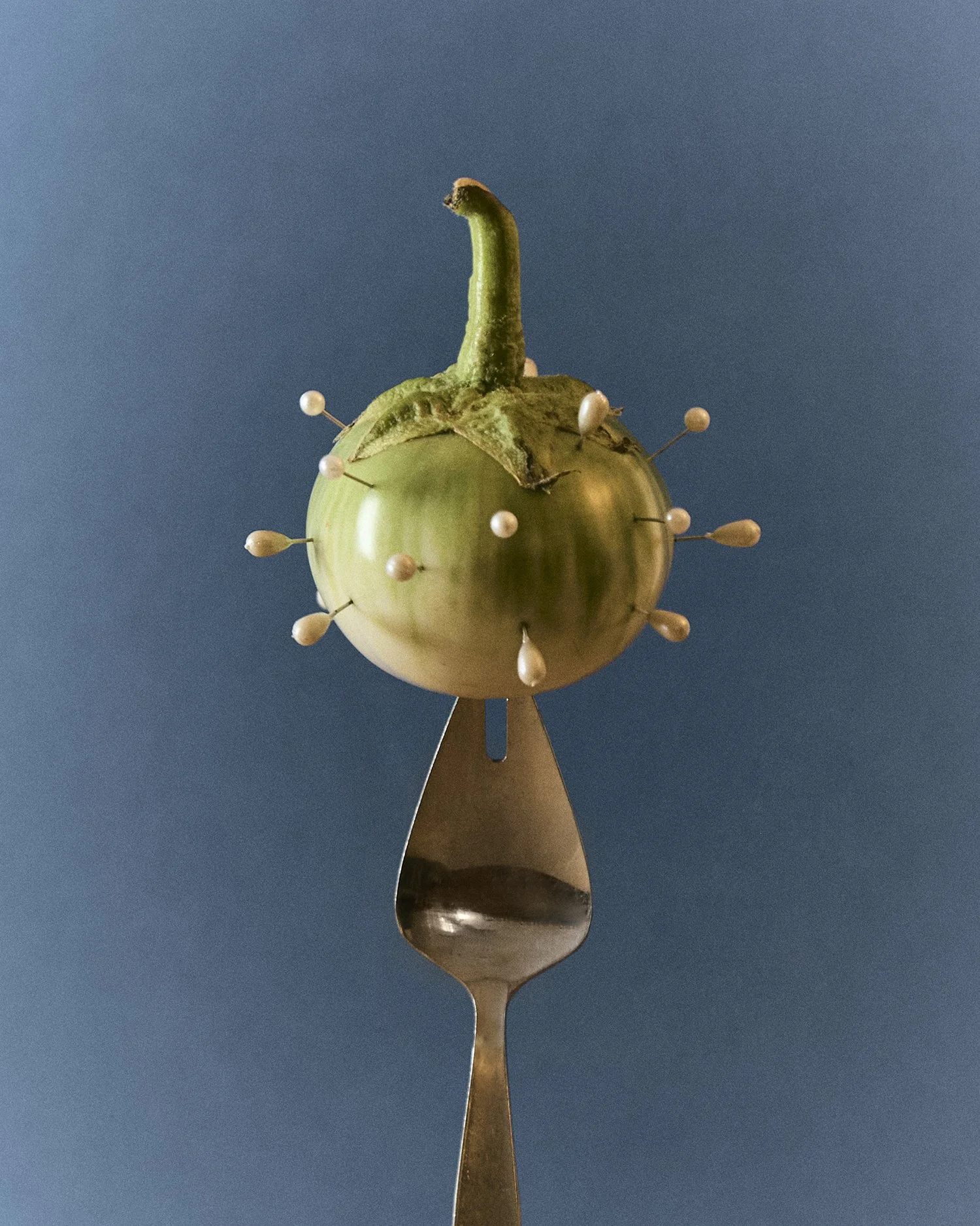 Still_Life_Acheron_0010.jpg