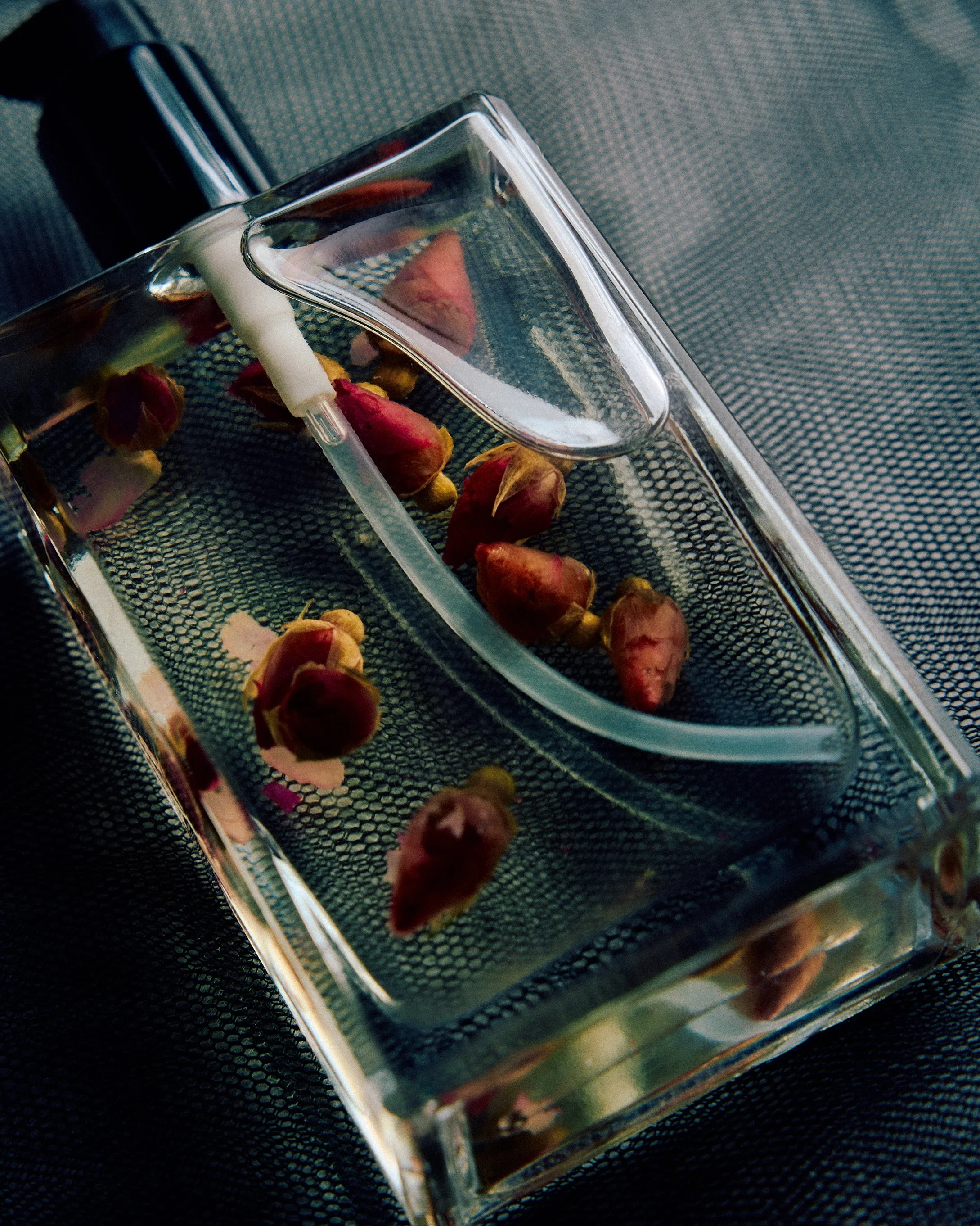 Heather_Still_Life_0087.jpg