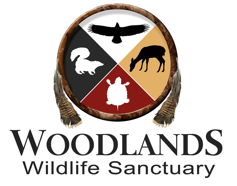 Woodlands Wildlife Sanctuary.jpg