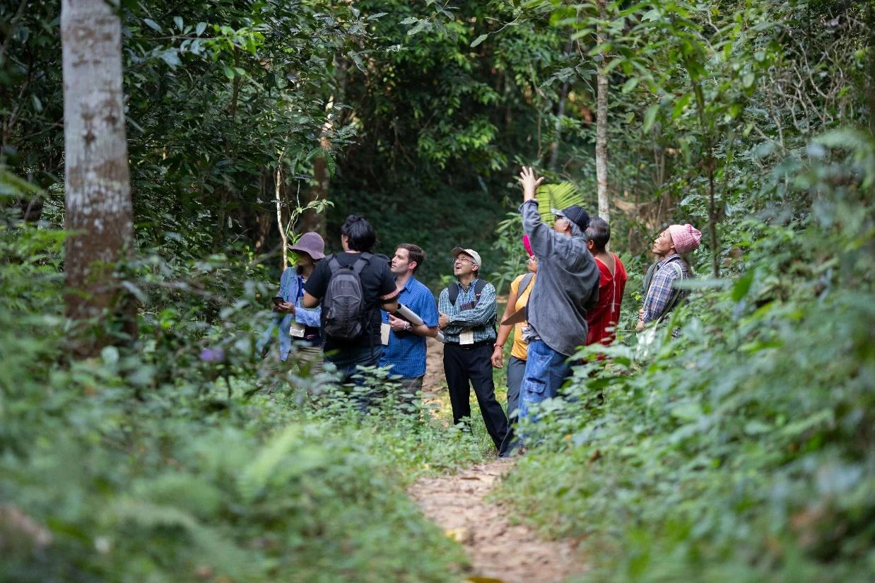 Karen people in the Hin Lad Nai community, northern Thailand explaining how their rotational farming systems have stewarded their forests for centuries. Photo: Jitirapa Bumroongchai