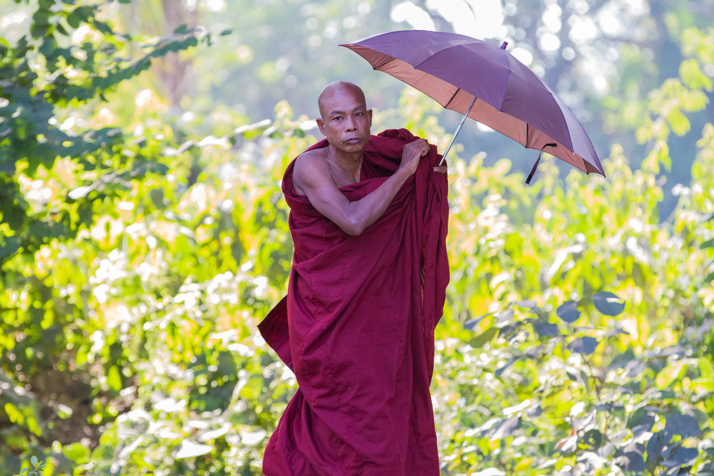 Burmese Monk