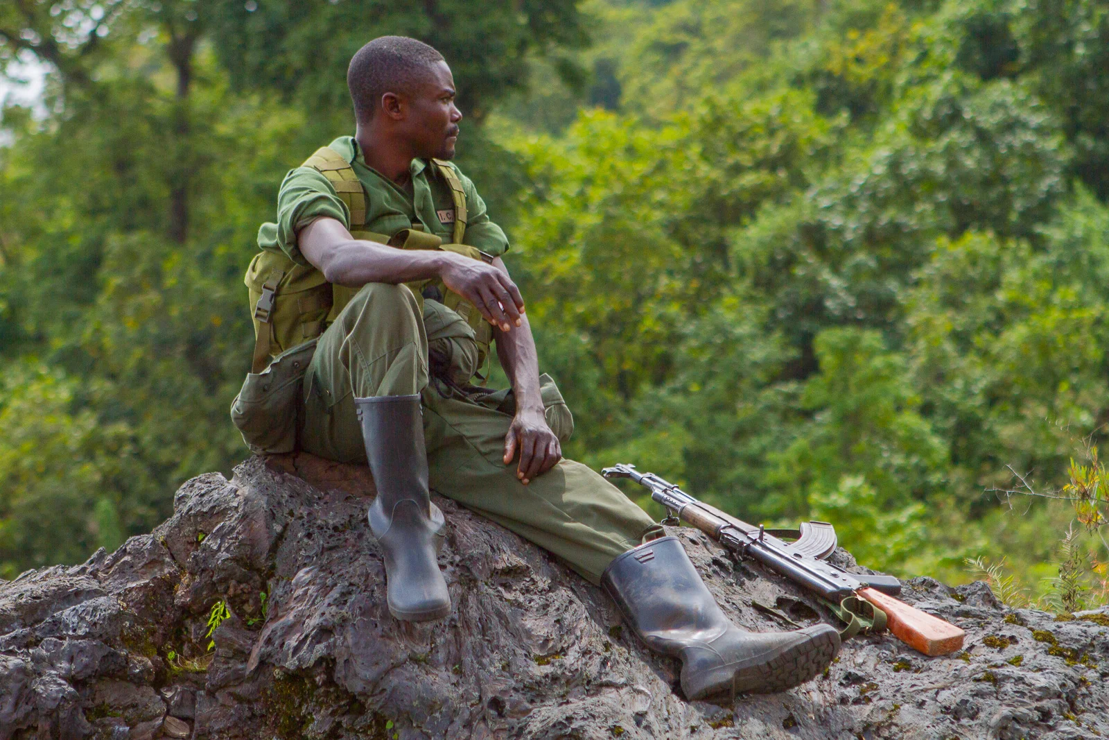 Protect Virunga