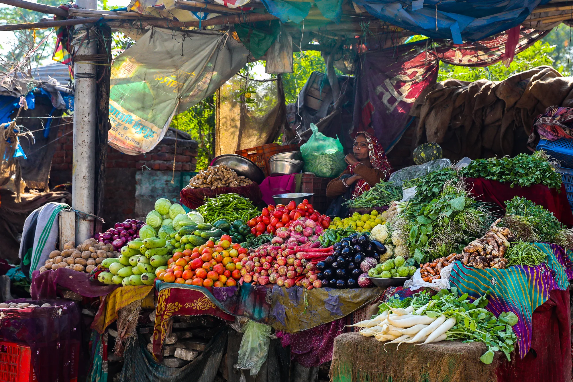 Produce in Jaipur