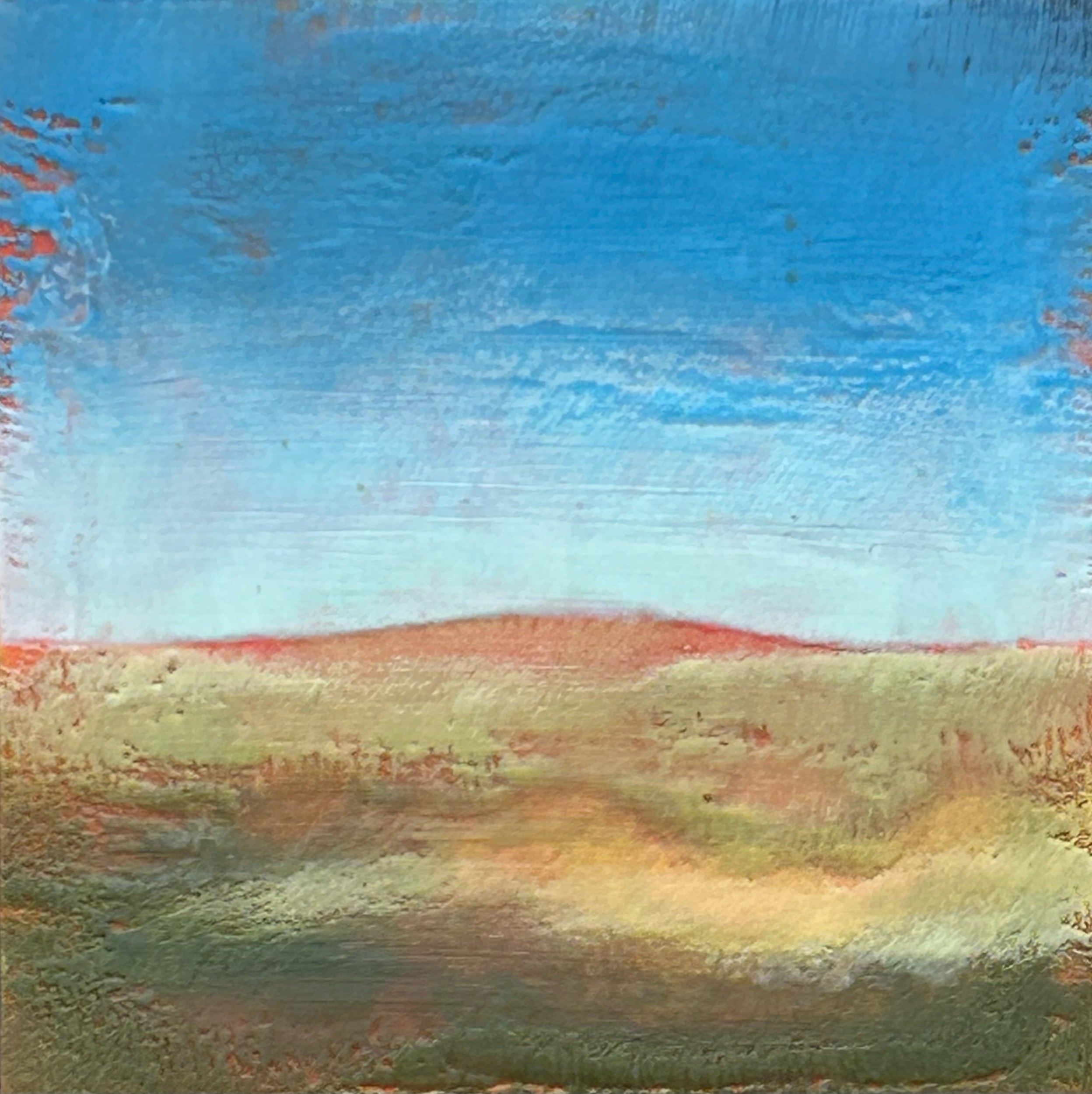 Meadow Study