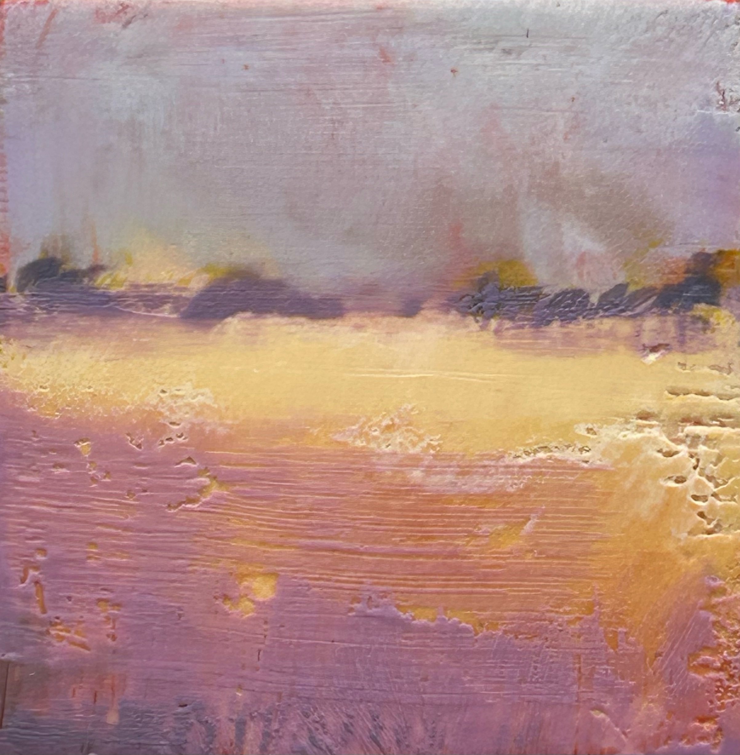 Rewilding Series