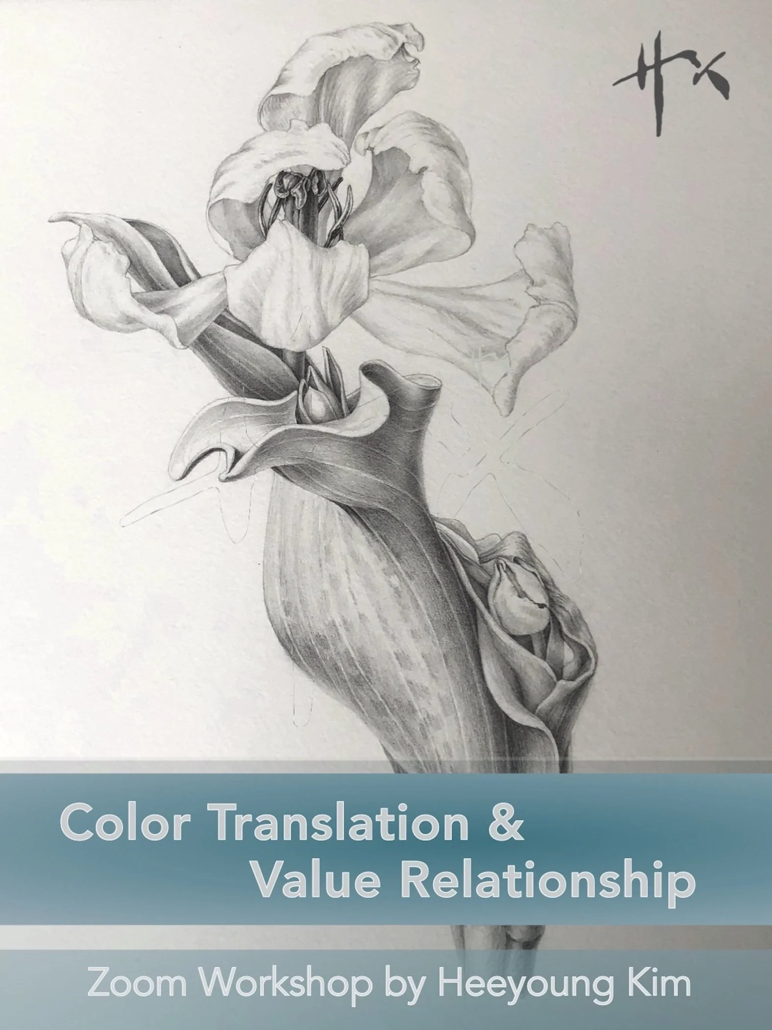 Color Translation and Value Relationship, Graphite, Zoom, November 21 & 28