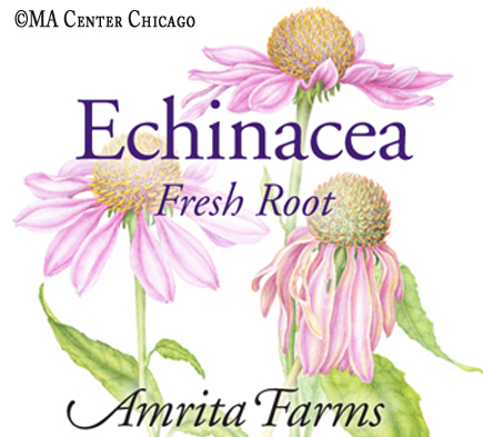 Label design