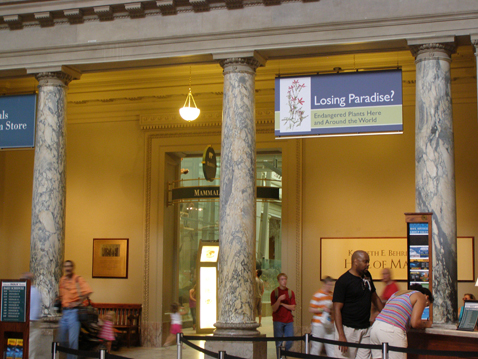  Royal Catcfly on sign board in lobby at Smithsonian Natural History Museum, photo by Heeyoung Kim