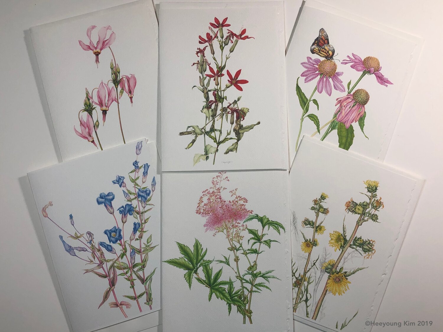 Watercolor Painting Botanical Art Book - Mama Likes This