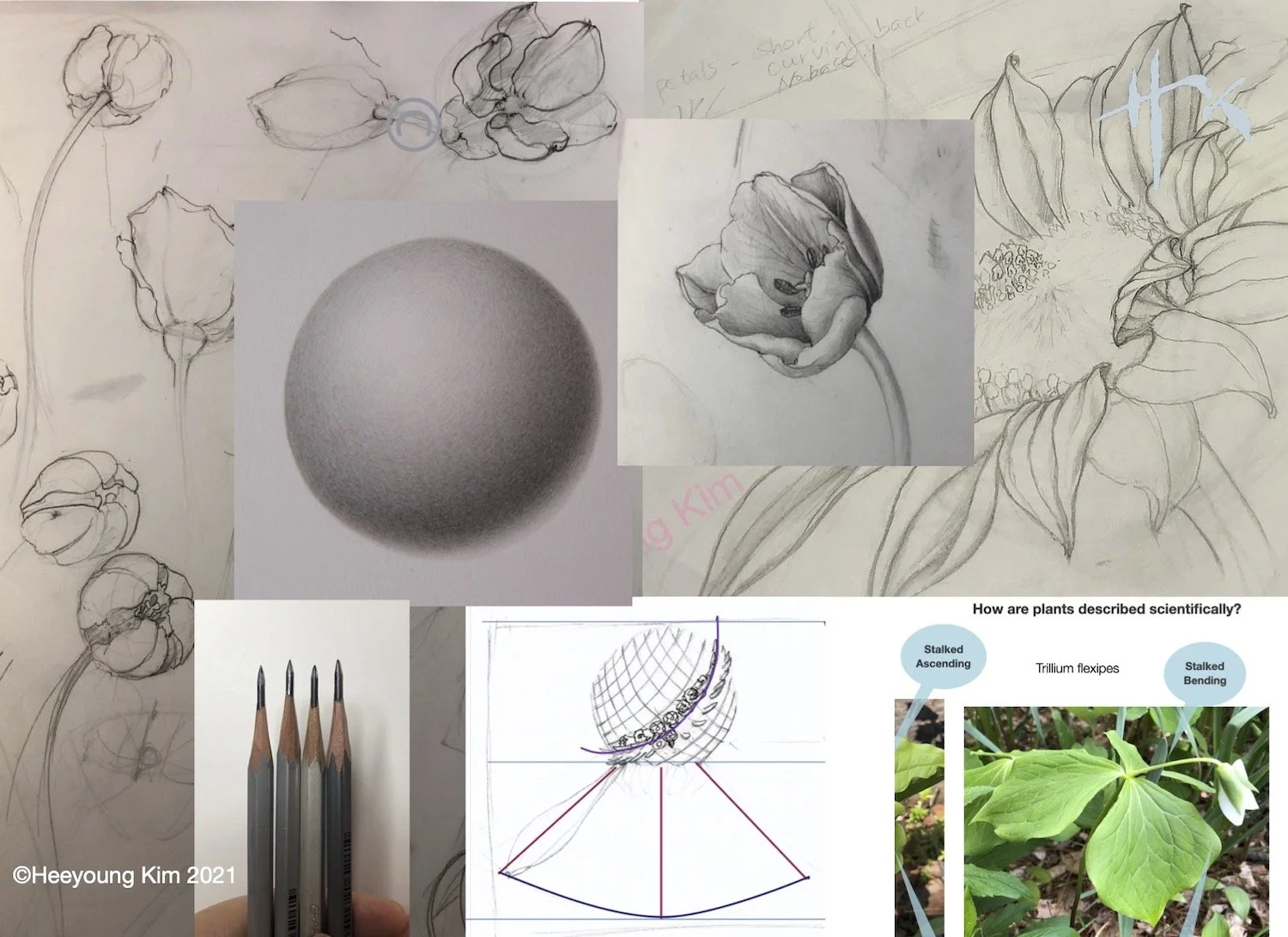 Drawing Fundamentals.jpg