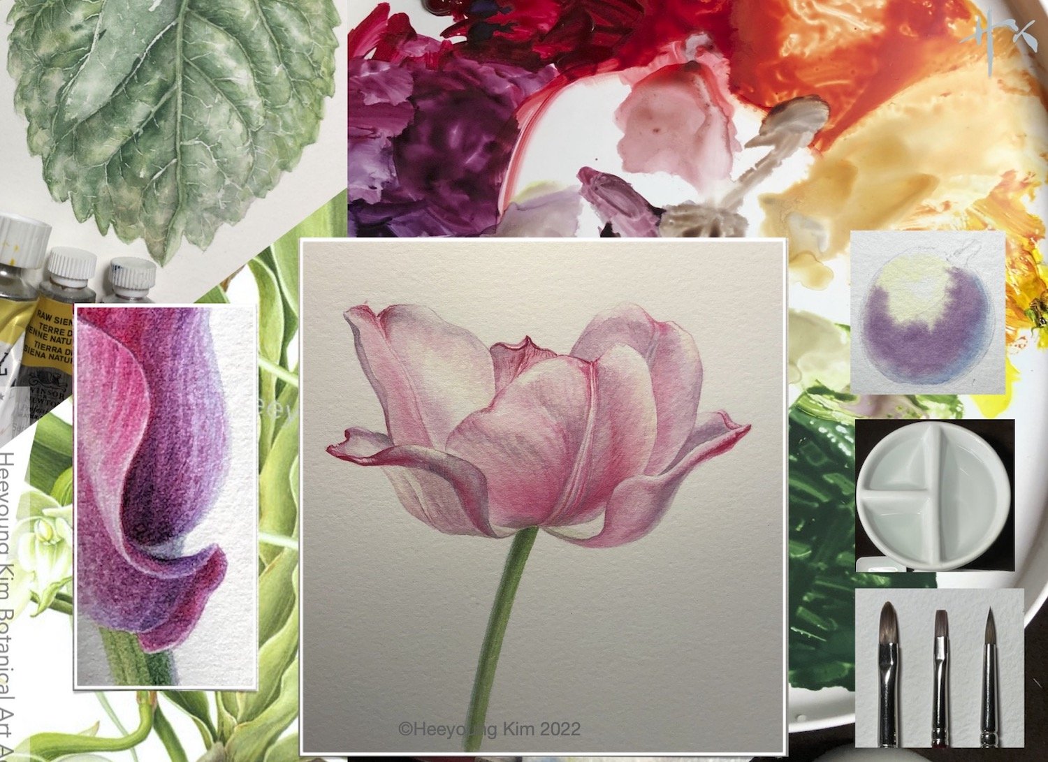 WC for beginners.jpg