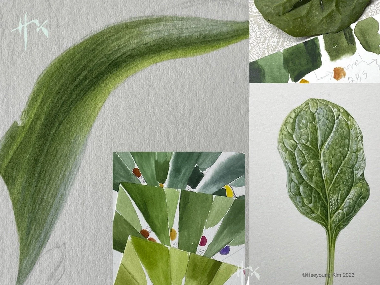 watercolor for beginners copy.jpg