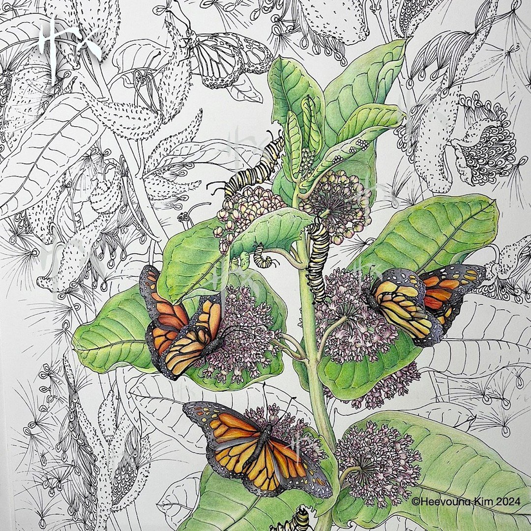 Done and to the framer. Improved mainly in enhancing depth and spacial relationship. I loved drawing milkweed so much and decided to fill the whole background with ink line drawing. Well, it might look too too busy, but I love it.... 😆🙃. 

✅ Once w