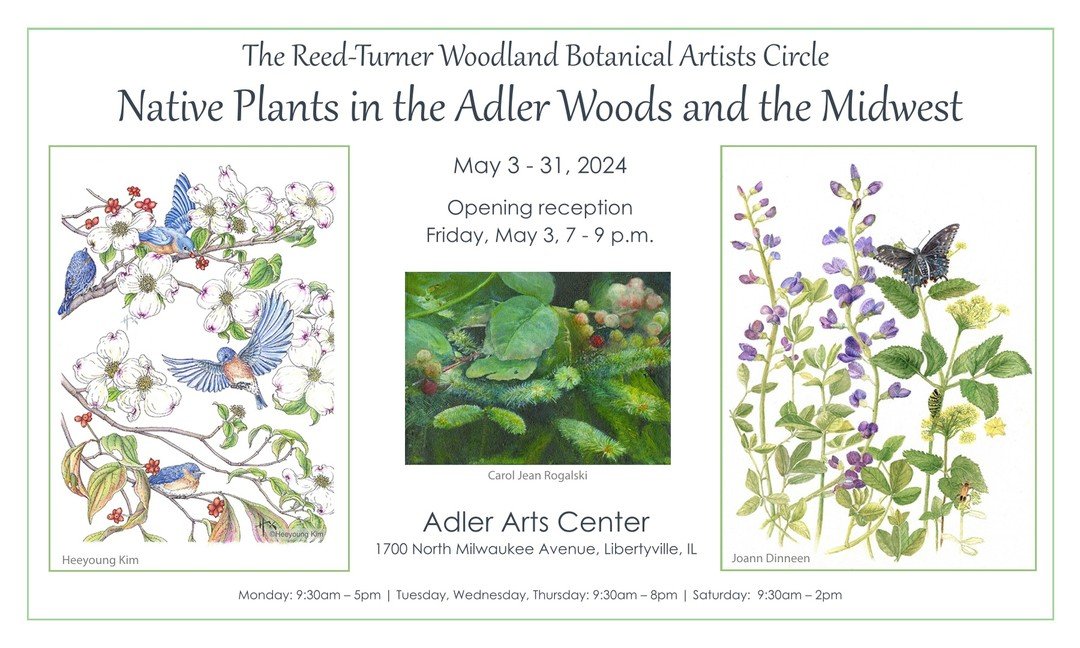 Opening Reception for a botanical art exhibition by Reed-Turner Botanical Artists. Come meet us next Friday evening! Reception: Friday, May 3, 7-9 pm. Adler Arts Center, Libertyville, IL We will show native plants in the Adler center woods and the mi
