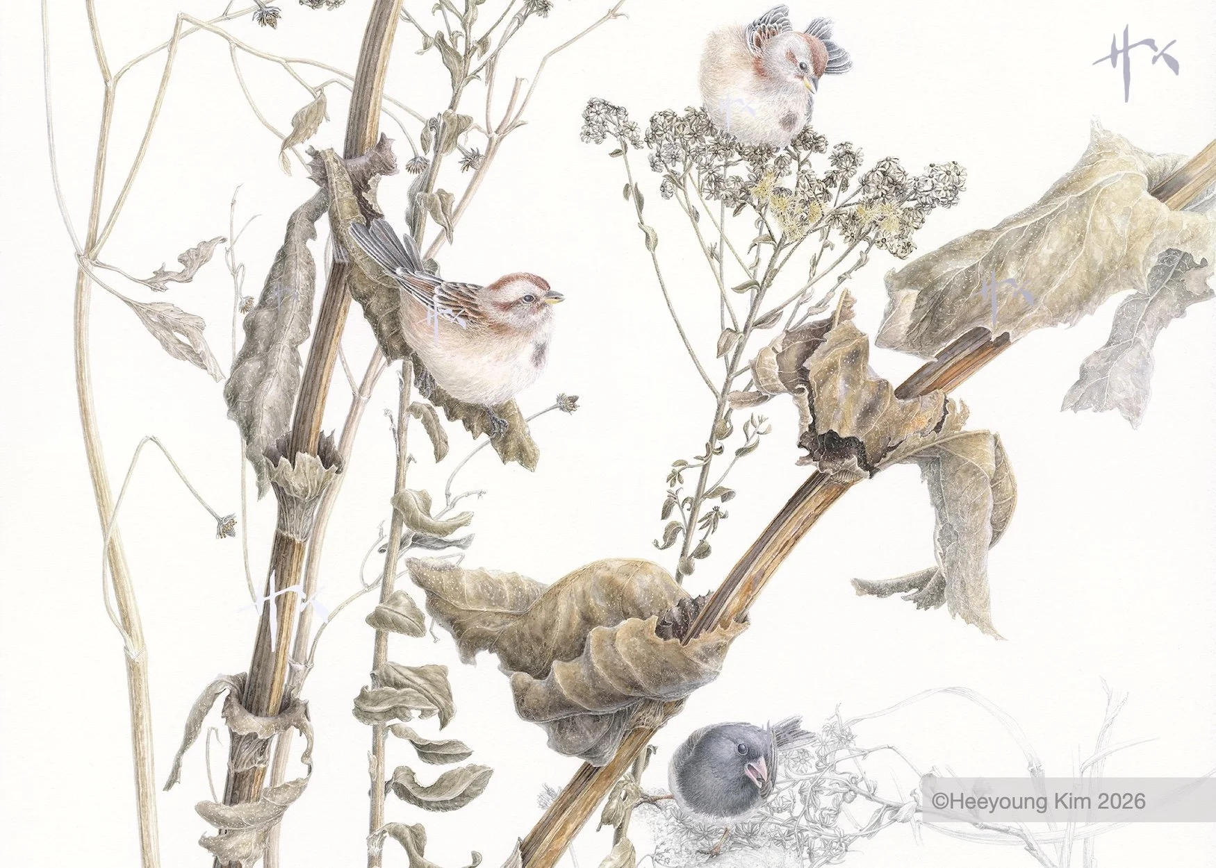 sparrow banner.jpg