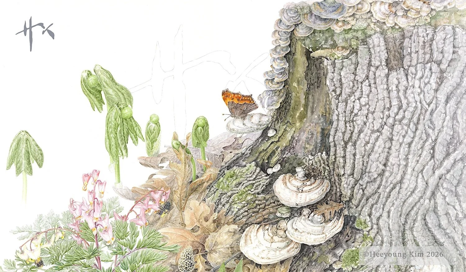 Around an Old Oak Tree 2: Eastern Comma....