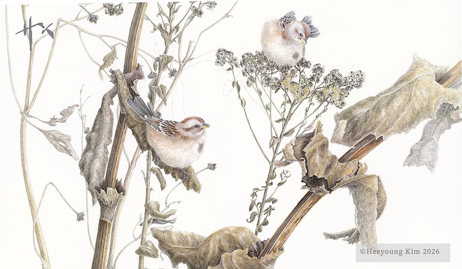 Interdependence: Winter: ... American Tree Sparrow...