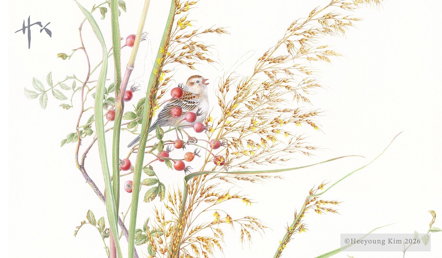 Interdependence: Fall: Field Sparrow,... Indian Grass...