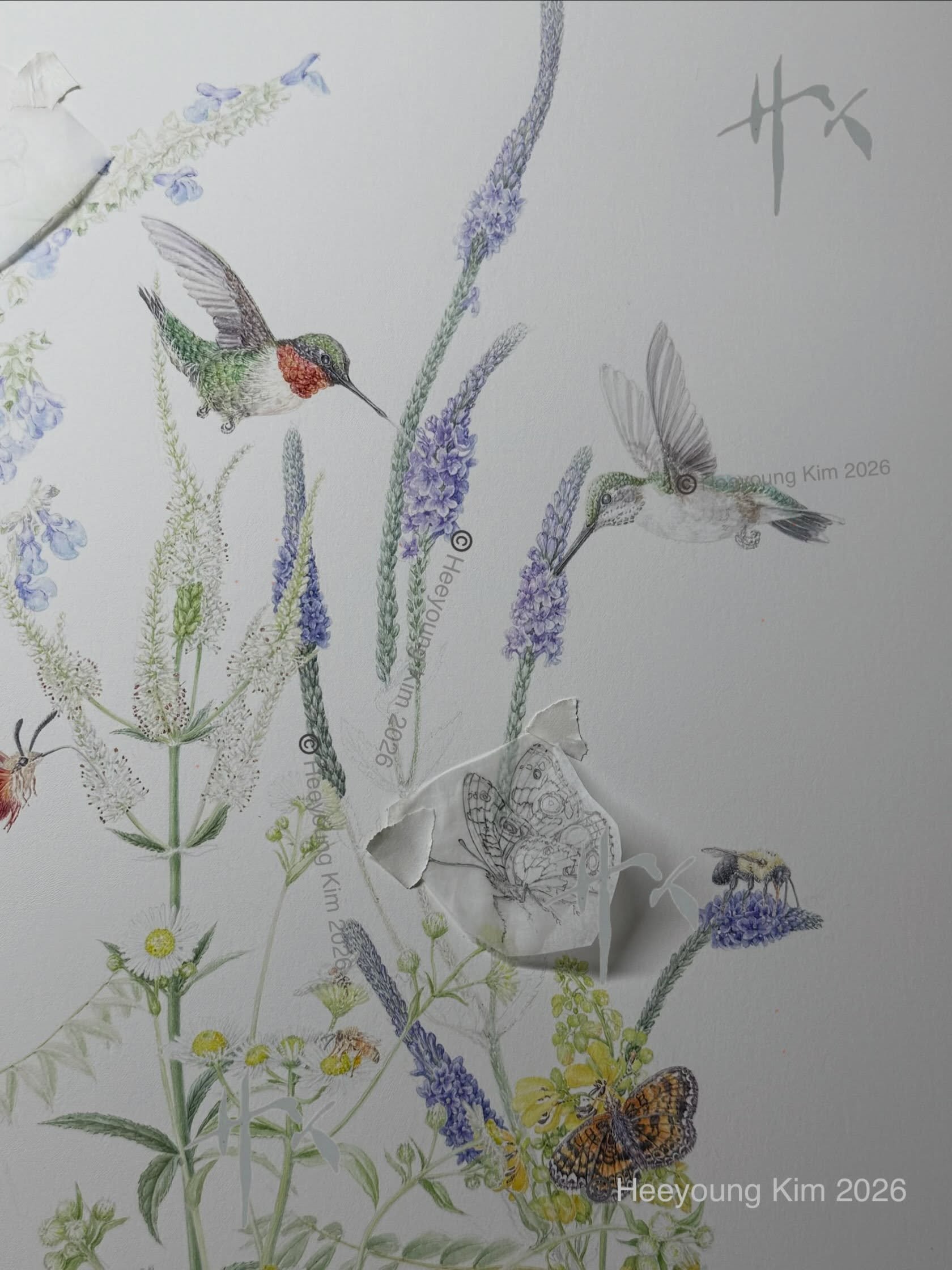The composition is getting fuller&hellip;. Common Buckeyes use multiple species as host plants and Hoary Vervain is one of them. So, it&rsquo;s finding a place in its host plant in this painting. A lot going on and I am loving it. 😍 All those &ldquo