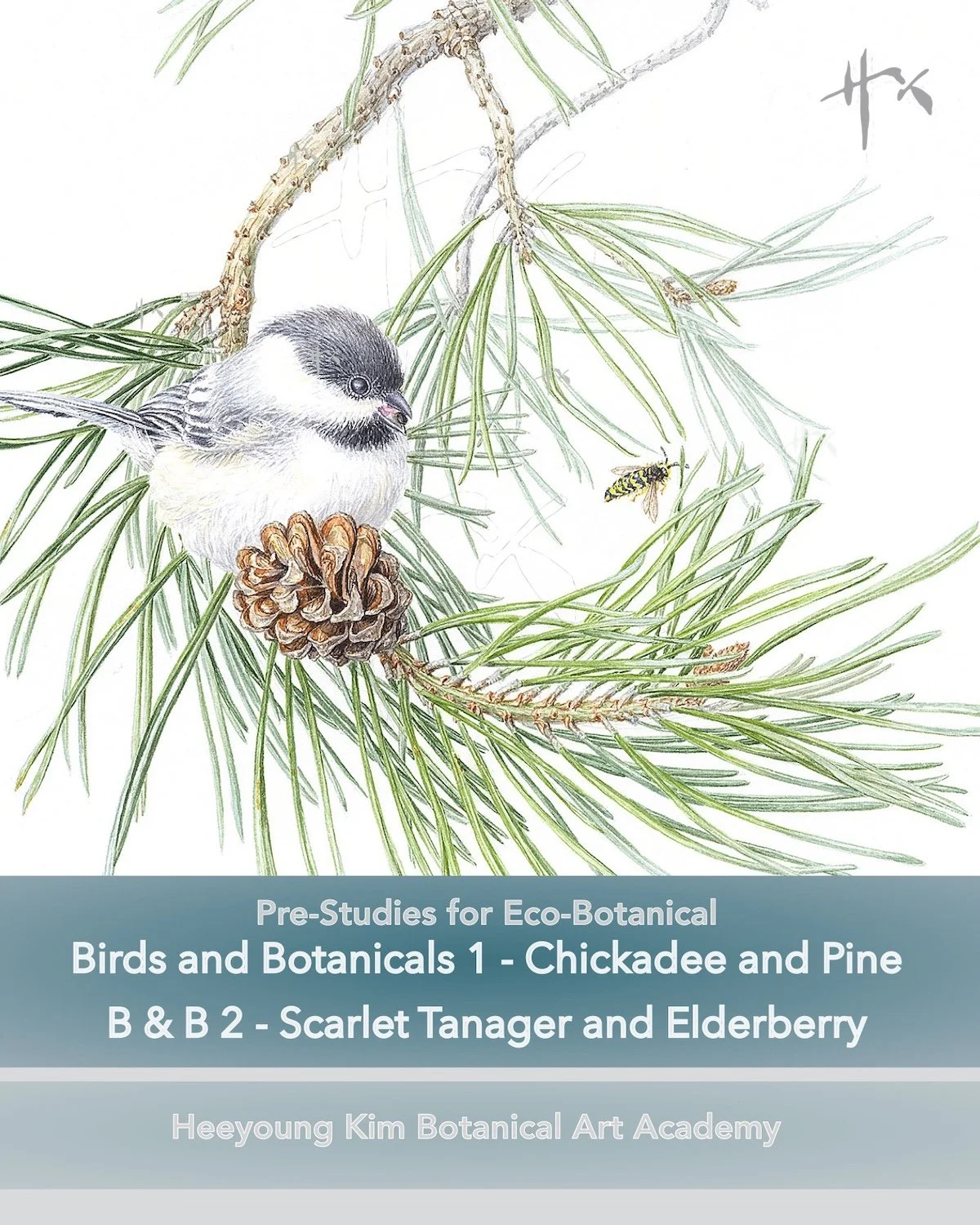 prestudy for eco botanical_Birds and Botanicals.jpg