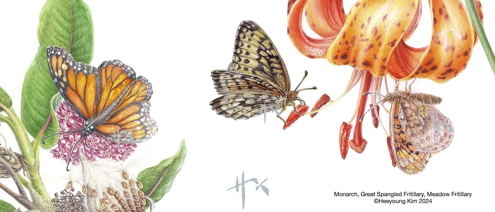 Botanical Art by Heeyoung KimClass Listing