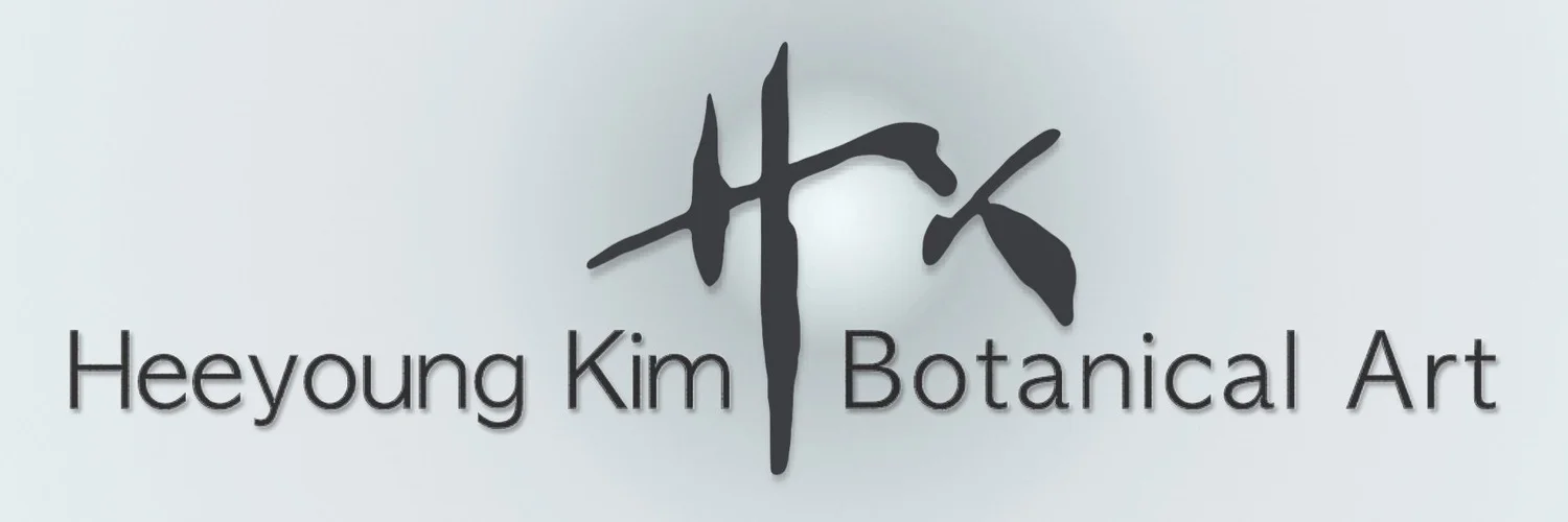 Heeyoung Kim Botanical Art