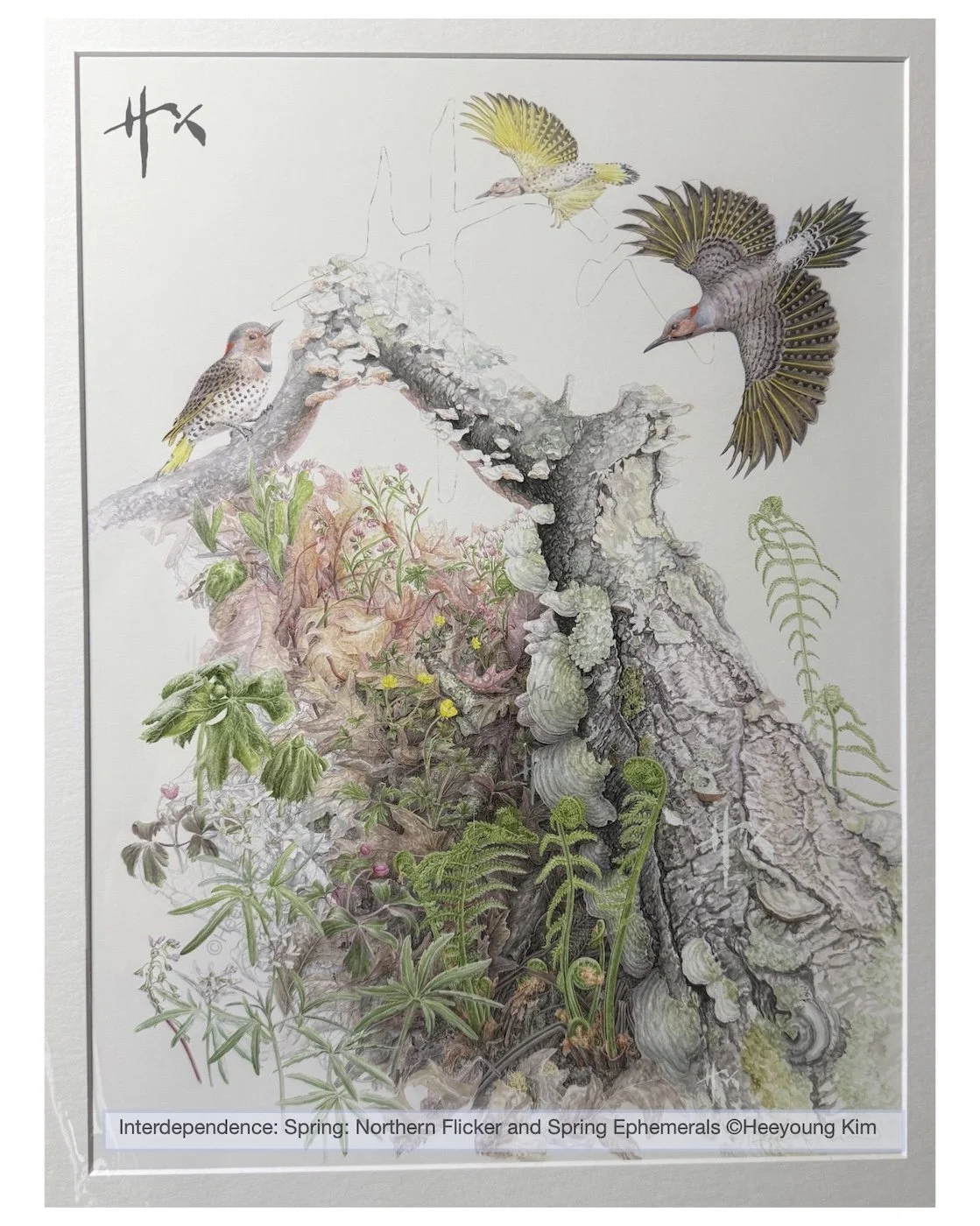 Flicker print.jpg