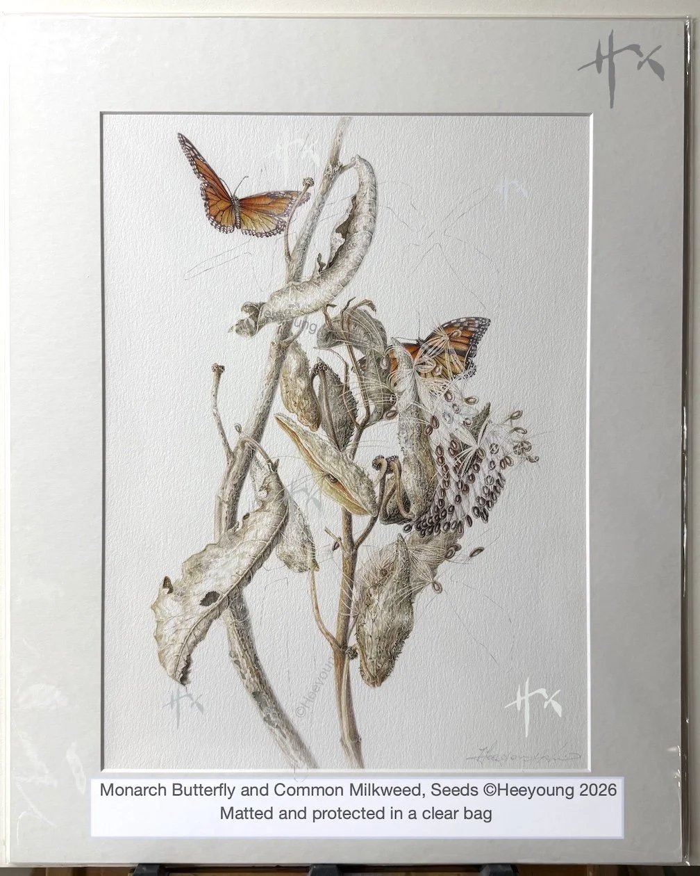 matted monarch seeds.jpg