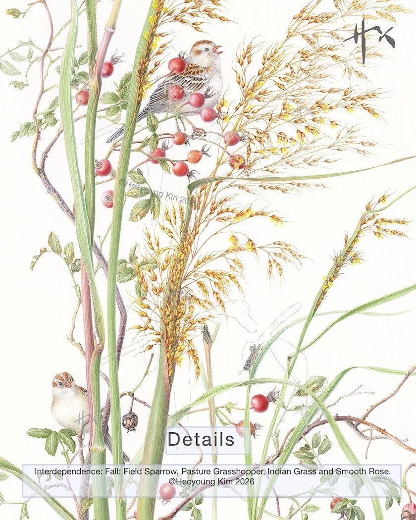 windsong print details copy.jpg