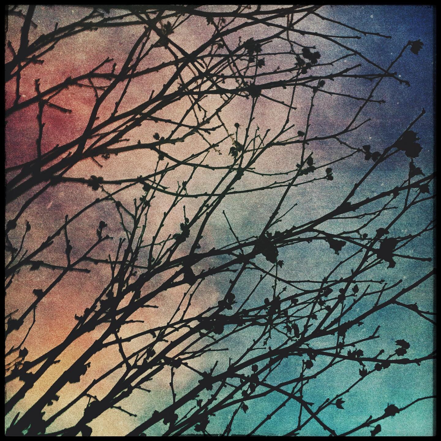 odoviimage 12

www.bozoamerican.com

#music #mextures #mexturesapp #m3xtures #mextureserrday #mexturezdelight #moodygrams #sombresociety #rsa_mextures #composition  #abstraction #rsa_graphics #stayabstract #instaabstract #surreal42 #abstracters_anony