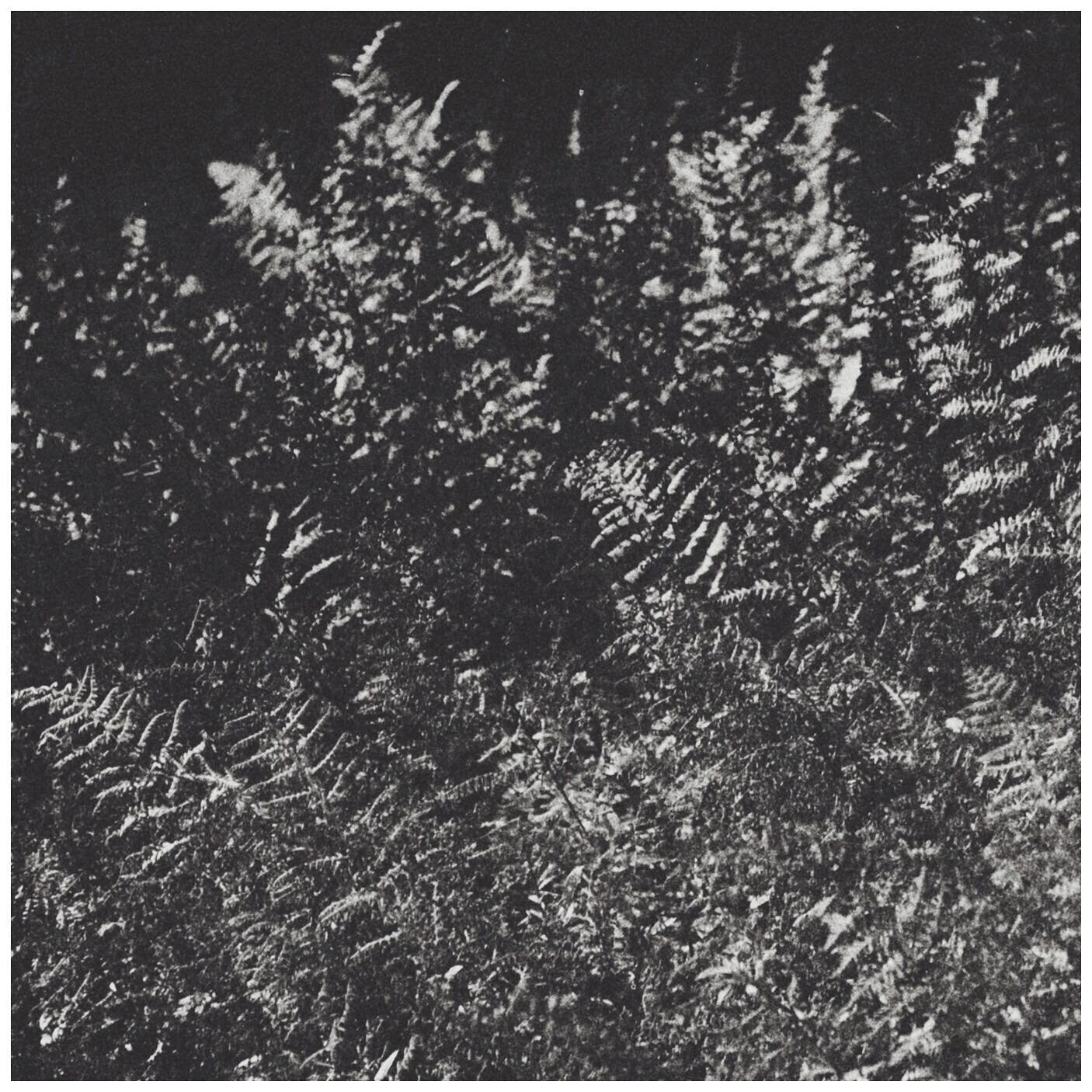 odoviimage 14

www.bozoamerican.com

#music #mextures #mexturesapp #m3xtures #mextureserrday #mexturezdelight #moodygrams #sombresociety #rsa_mextures #composition  #abstraction #bnwbutnot #bnwminimalismmag #blackandwhite #blackandwhitephoto #bnw #rs