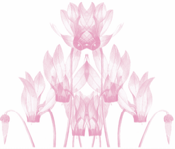 Screen Shot 2015-12-09 at 18.31.50.png
