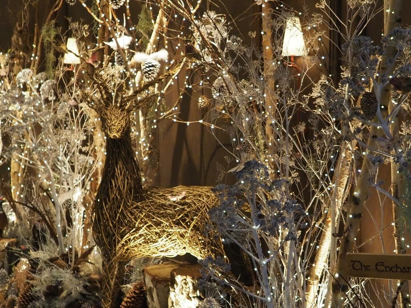 Enchanted woodland scene @onealdwychhotel @mark.at.one . Lots of beautiful details if you look closely 🦋🕊️