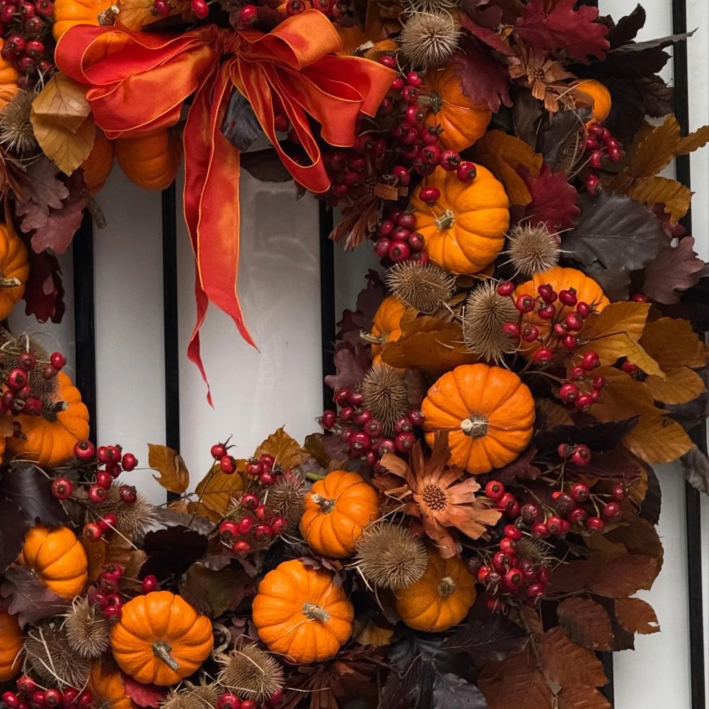 More autumn vibes 🍁🍂🍁

#autumn #autumnwreath #halloweenwreath #londonautumn #fallwreath