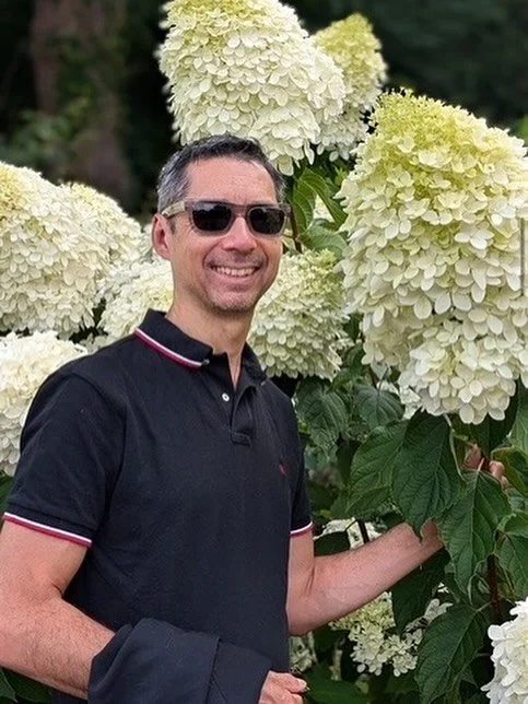 Huuuugge Limelight hydrangeas! A memory from this time last year.