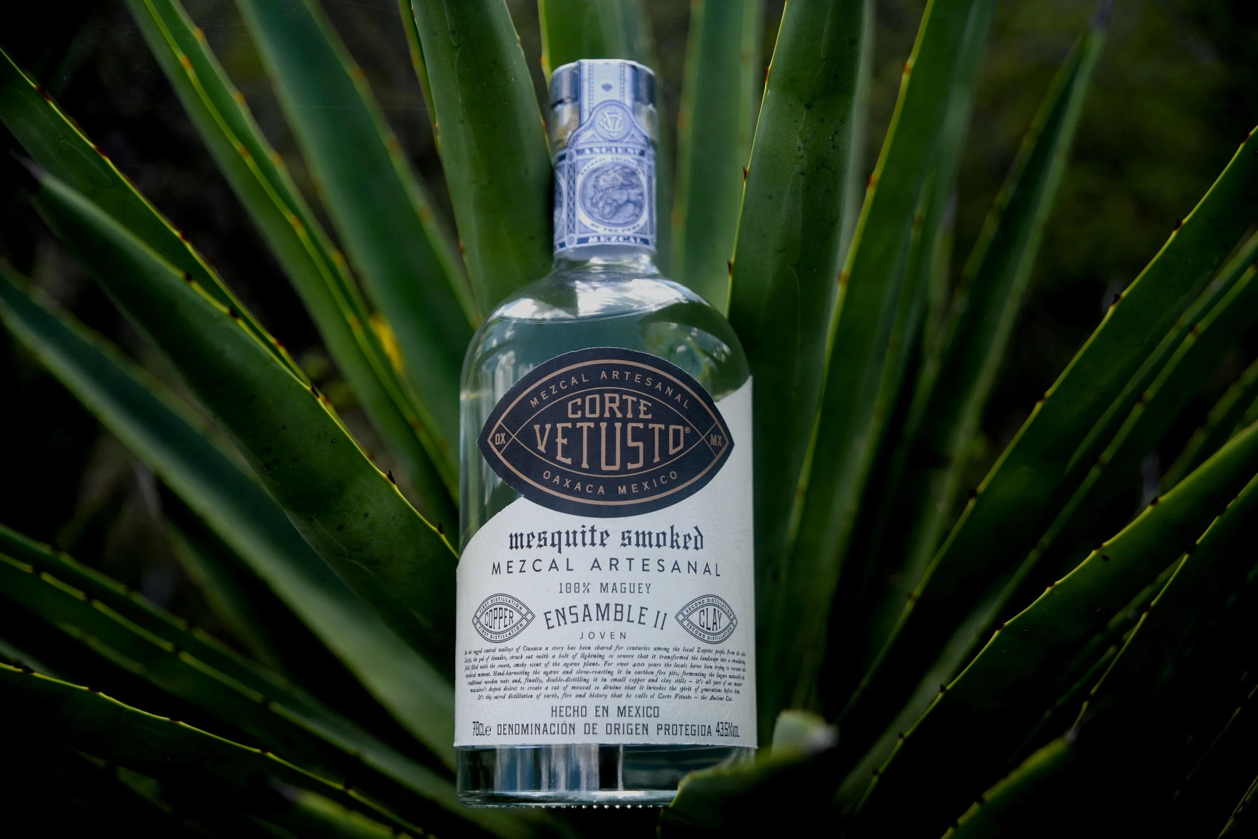 Remember Remember the 5th...