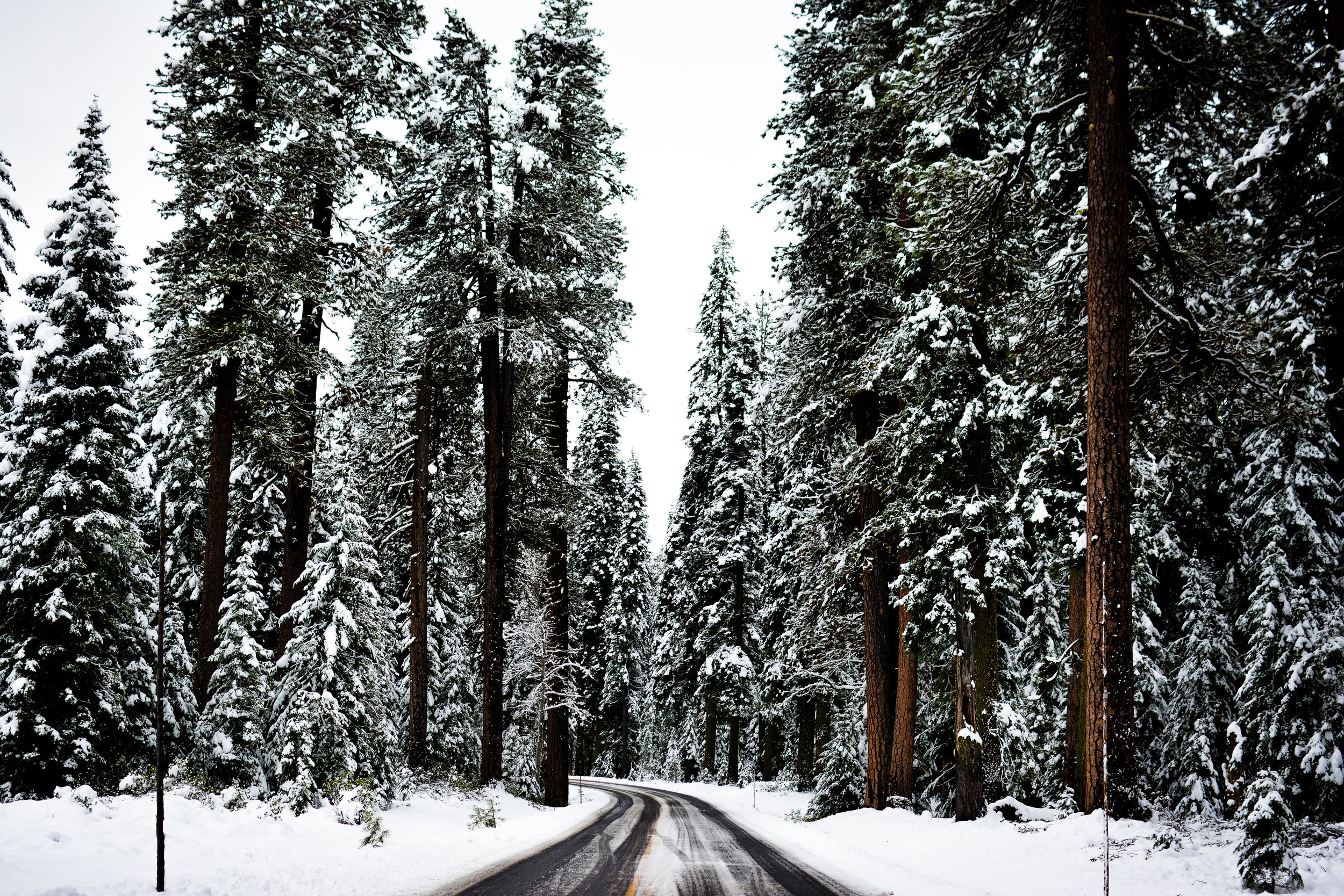 Winter Wanderlust
