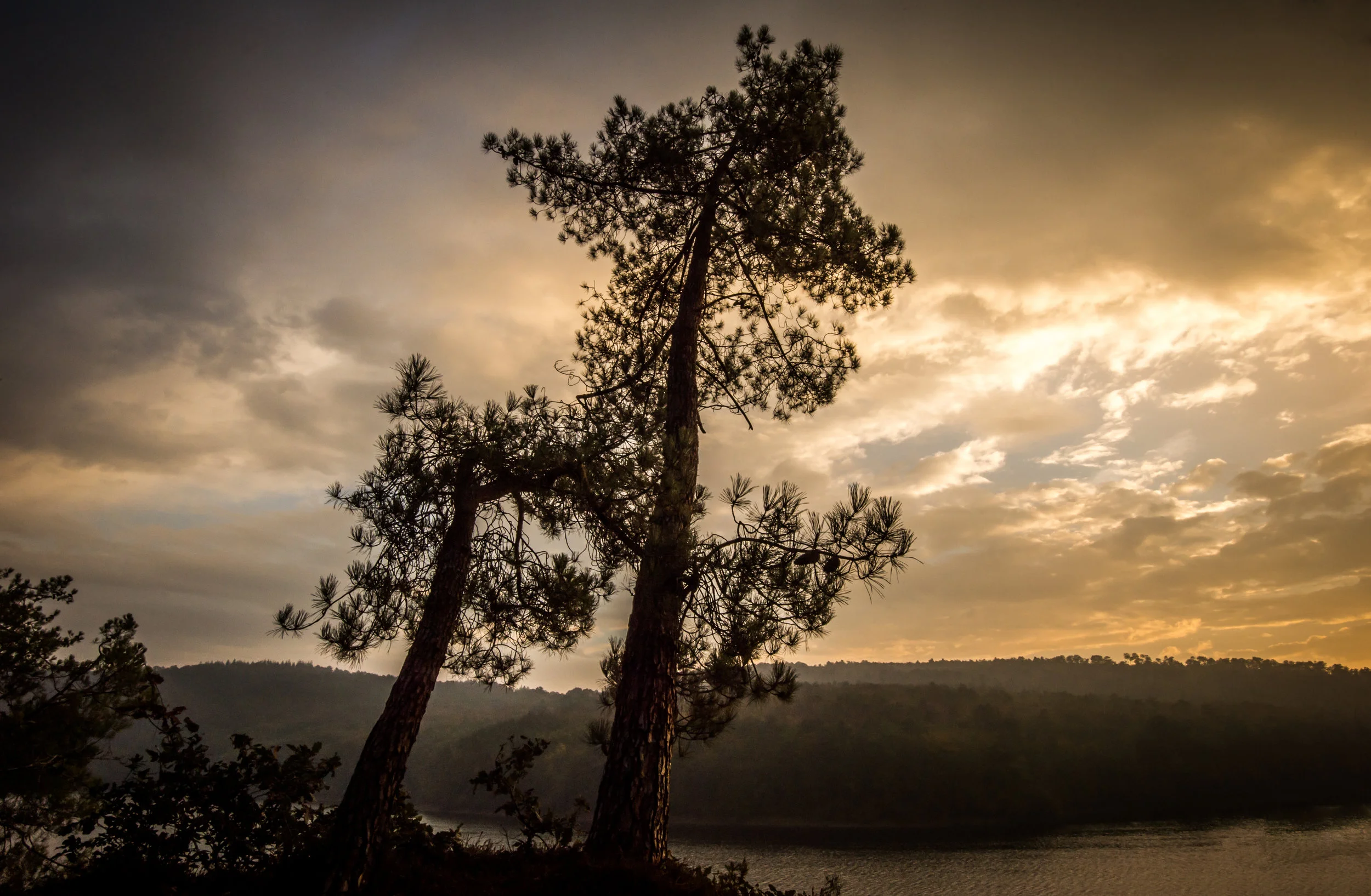 29oct._Bretagne 2014_040.jpg