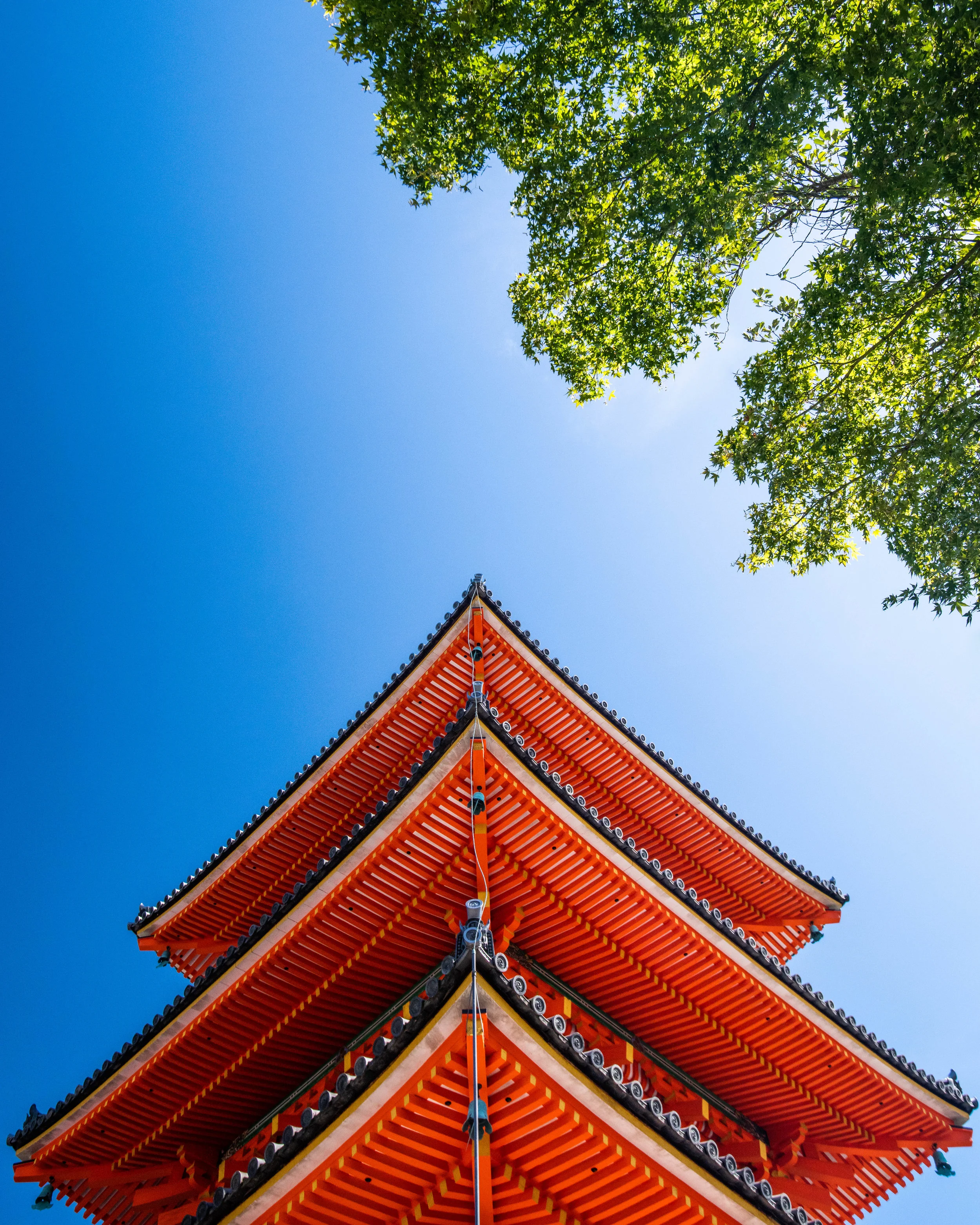 Japon-25 août 2018-0112.jpg
