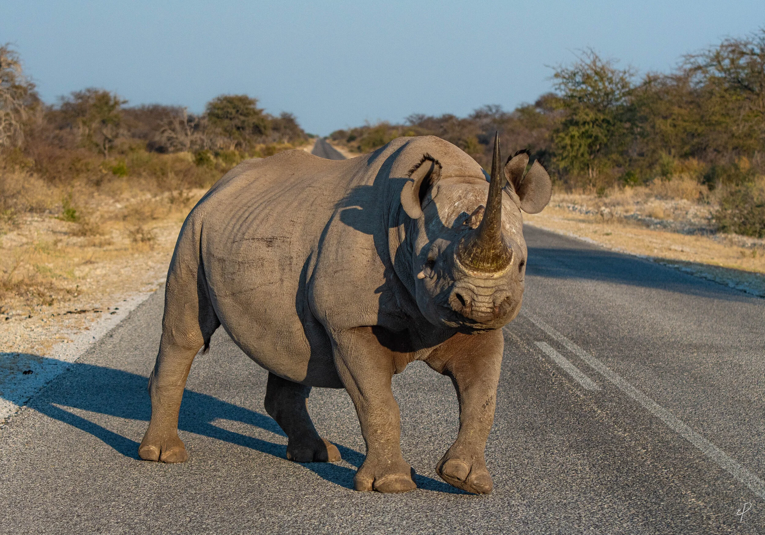 0032-Namibie-01 juin 2019- 0032.jpg
