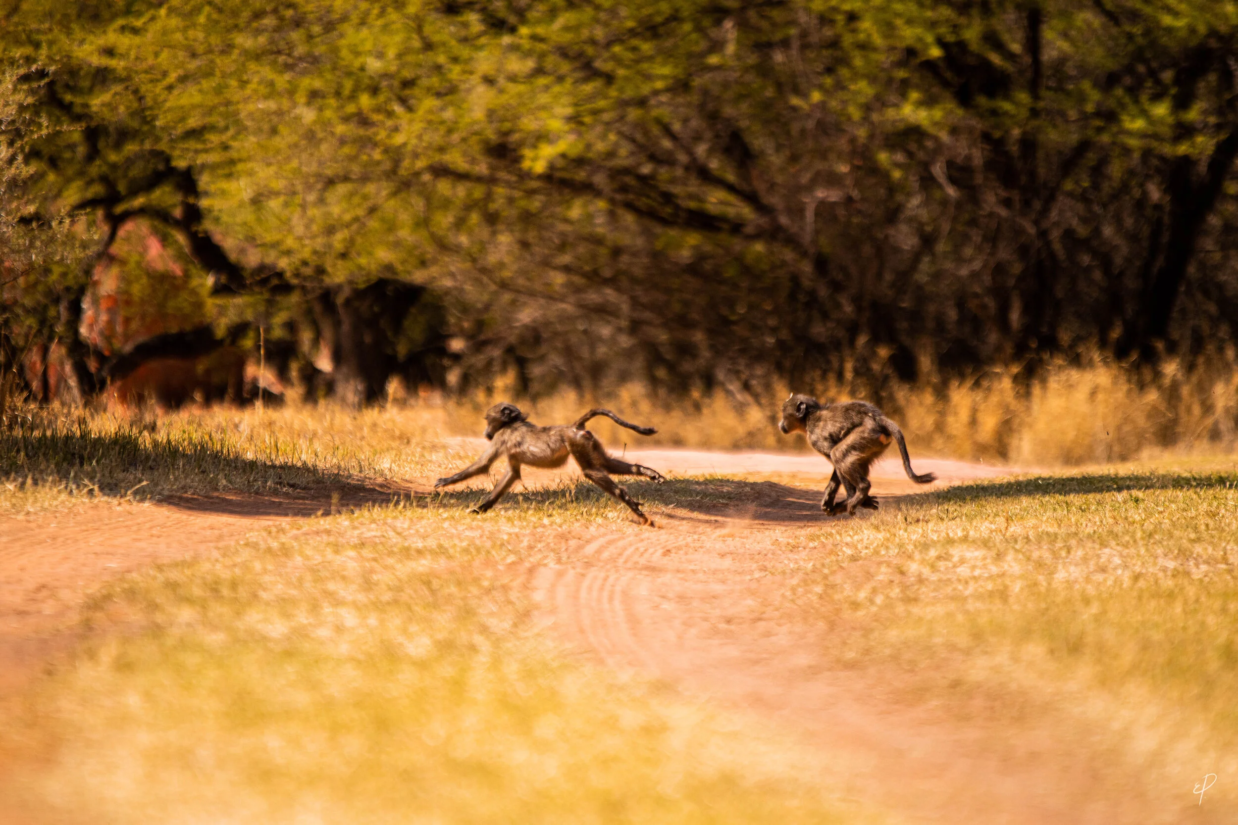0020-Namibie-31 mai 2019- 0020.jpg