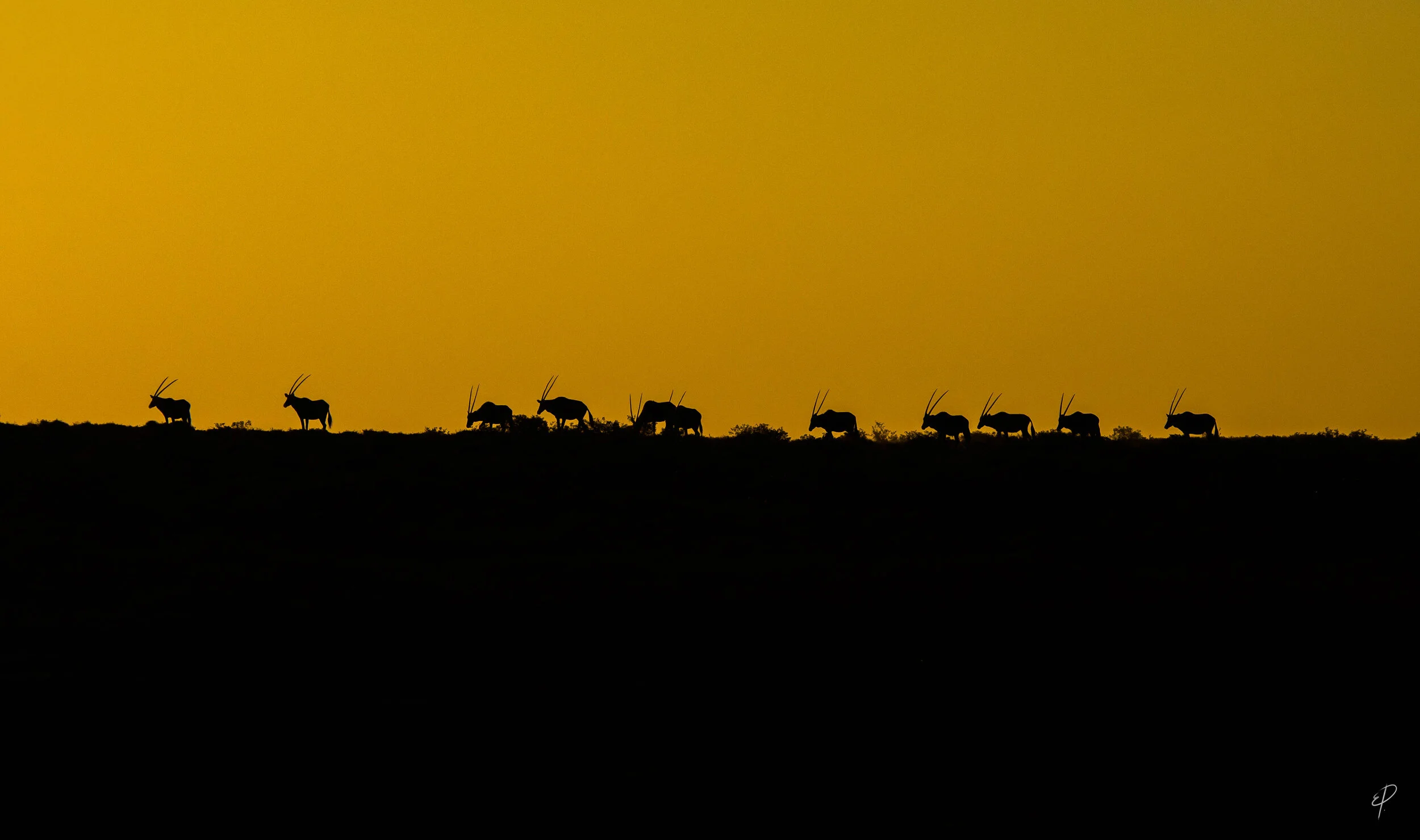 0084-Namibie-02 juin 2019- 0084.jpg