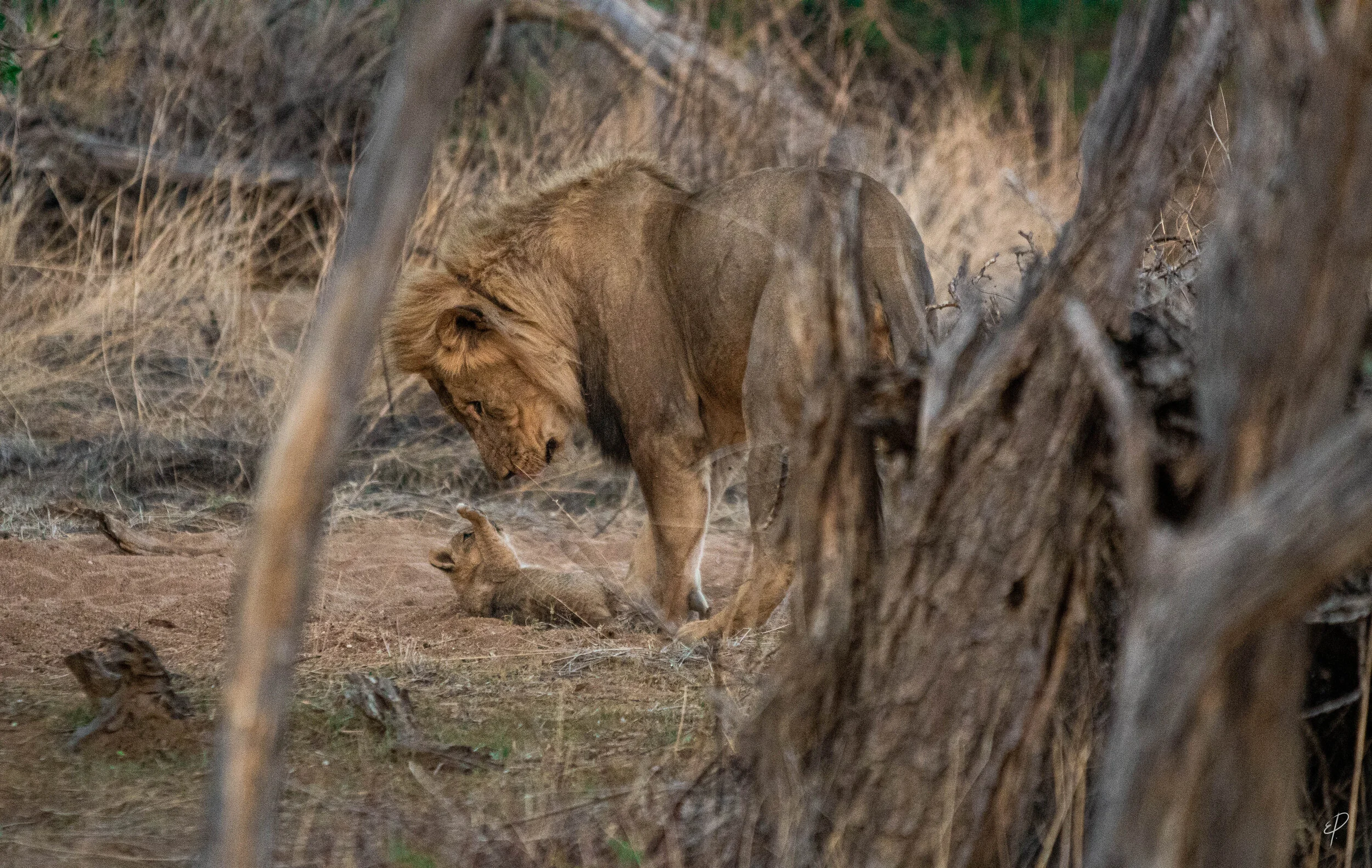 0118-Namibie-03 juin 2019- 0118.jpg