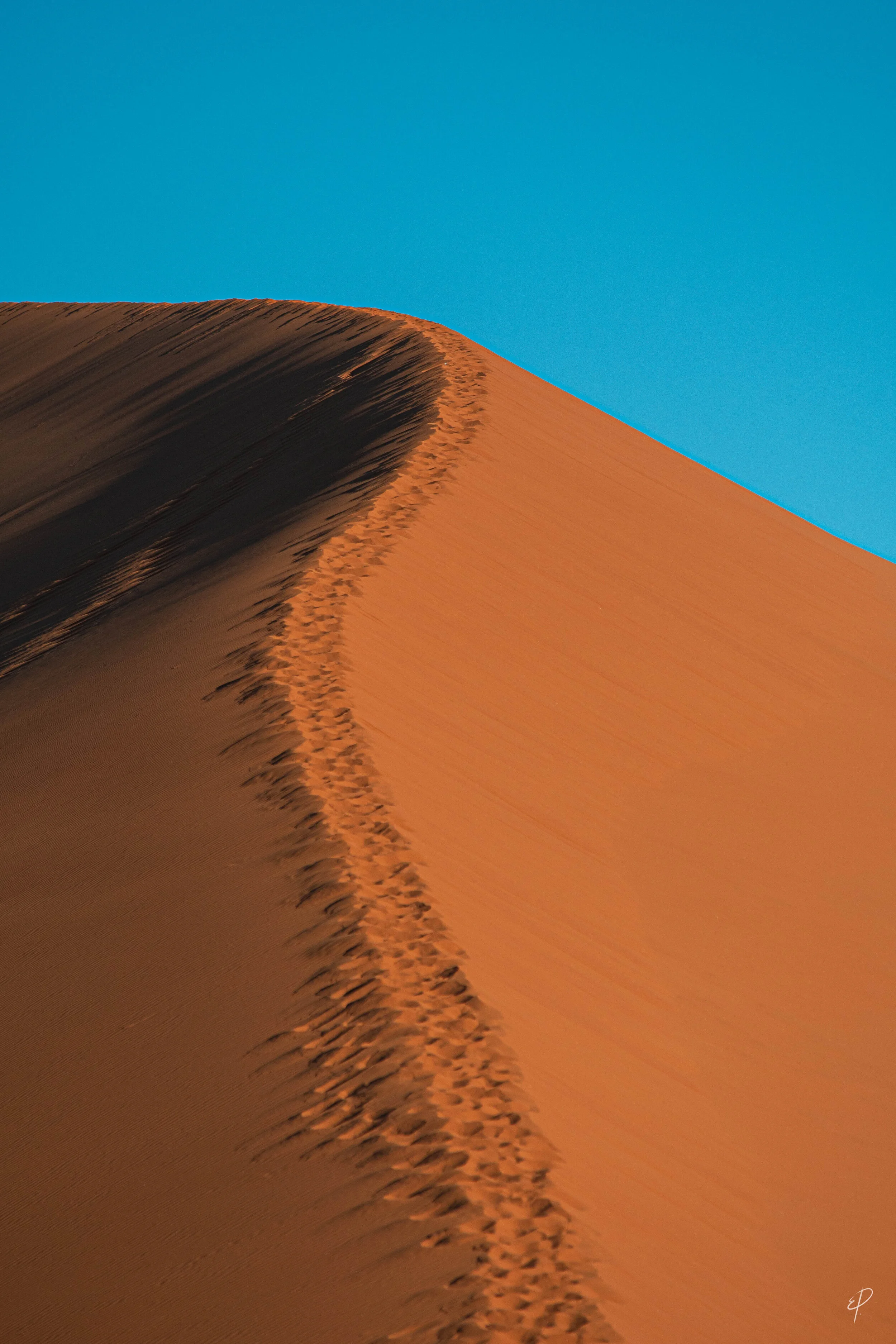 0198-Namibie-07 juin 2019- 0198.jpg