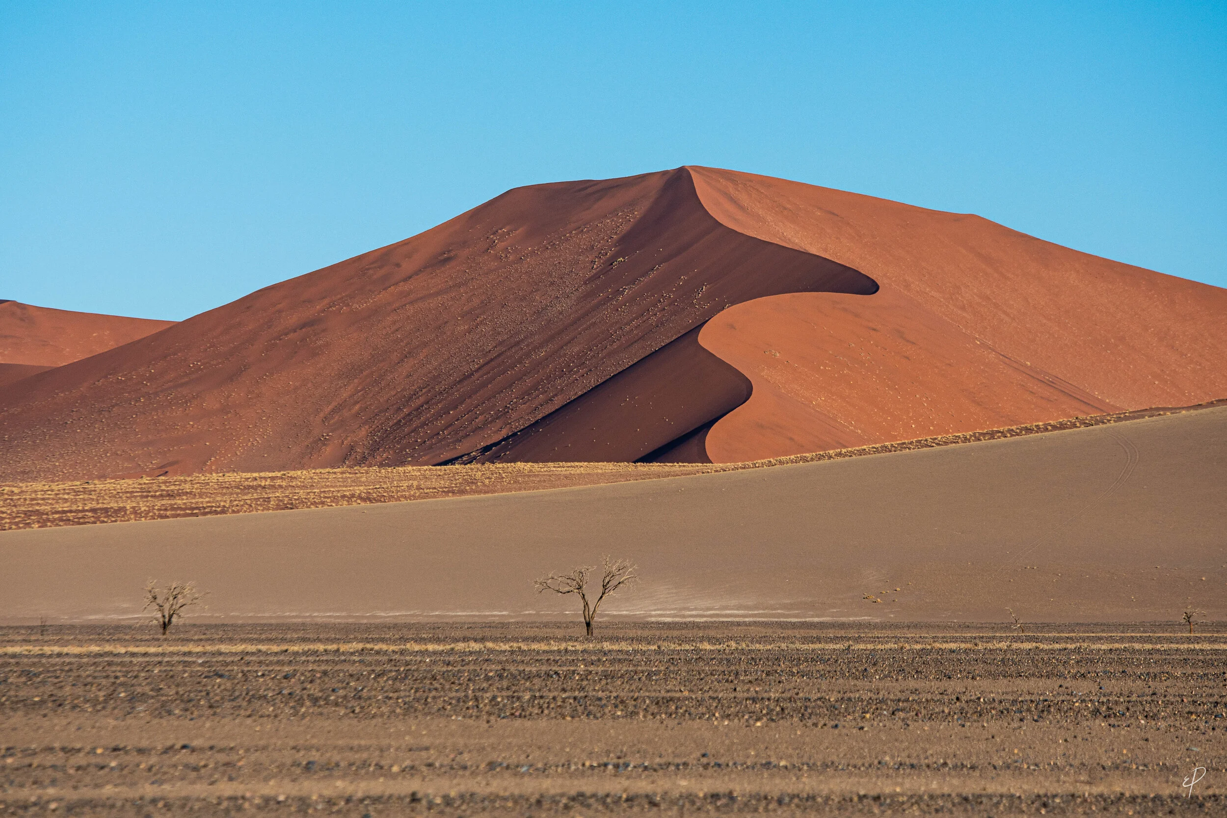 0197-Namibie-07 juin 2019- 0197.jpg