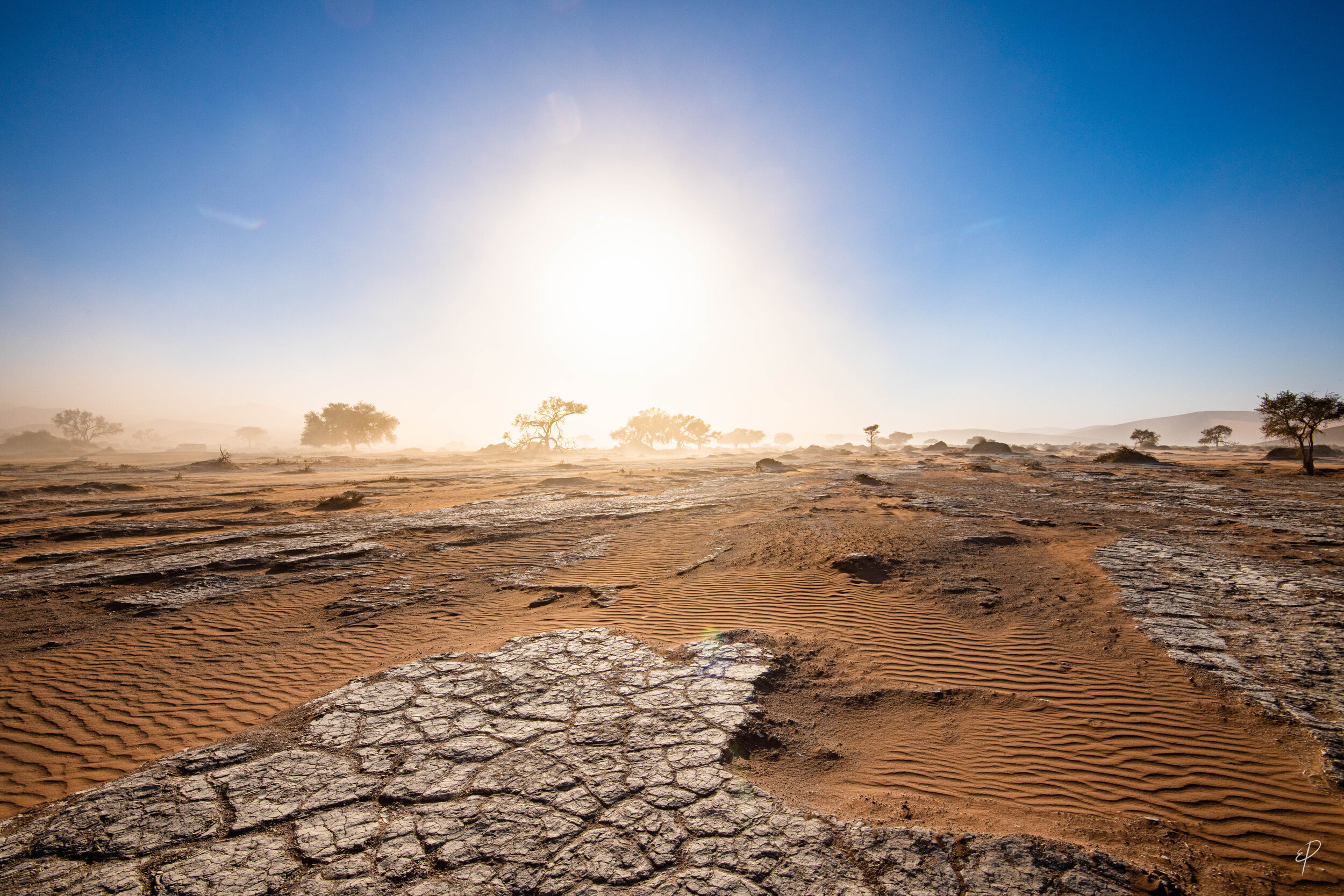 0215-Namibie-08 juin 2019- 0215.jpg
